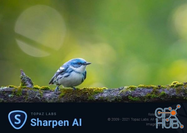 Topaz Sharpen AI 3.0.1 Win x64