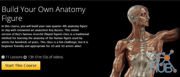 Build Your Own Anatomy Figure with Rey Bustos