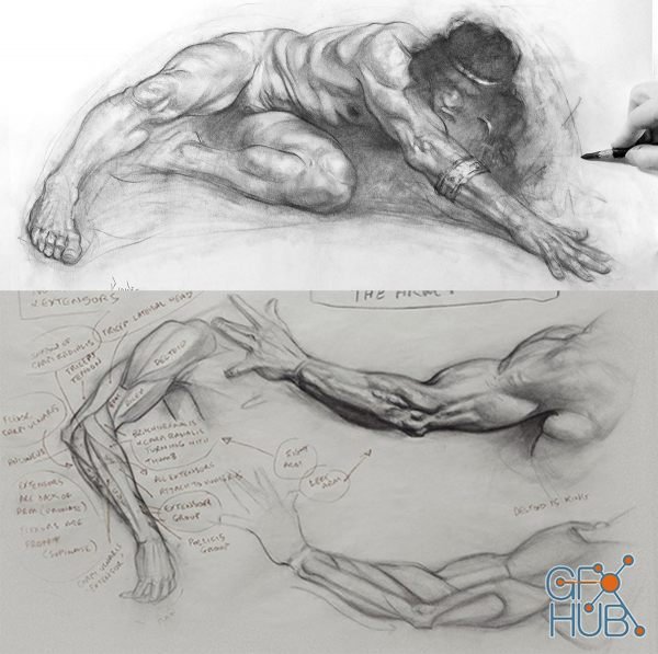 CGMaster Academy – Figure Drawing Anatomy of Style with Patrick Jones