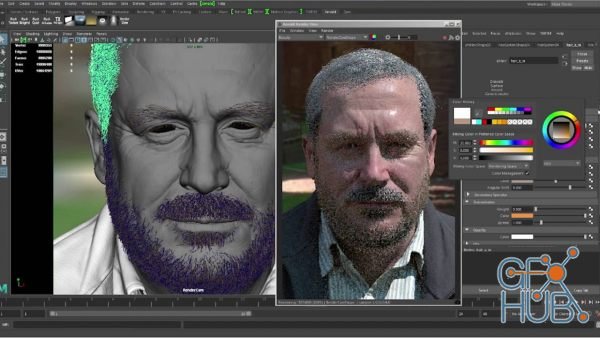 Solid Angle Arnold for Maya v4.2.1 for Maya 2018-2022 Win