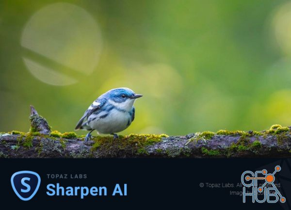 Topaz Sharpen AI 3.0.3 Win x64