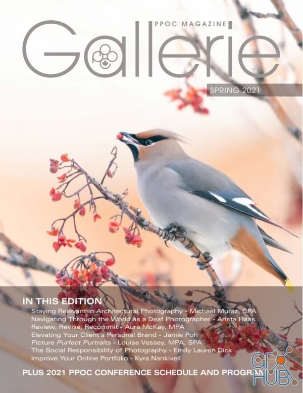 Gallerie Magazine – Spring 2021 (True PDF)