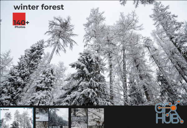 ArtStation Marketplace – Winter Forest. Environment Refrence Pictures.
