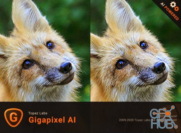 Topaz Gigapixel AI 5.5.0 Win x64