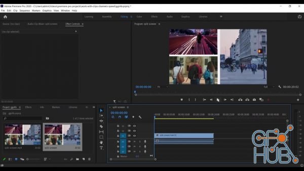 Udemy – Premiere pro 2021 : From beginning to pro level