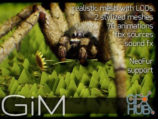 Unity Asset – Animals Spider