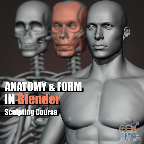 Gumroad – Anatomy and Form in Blender – Sculpting Course