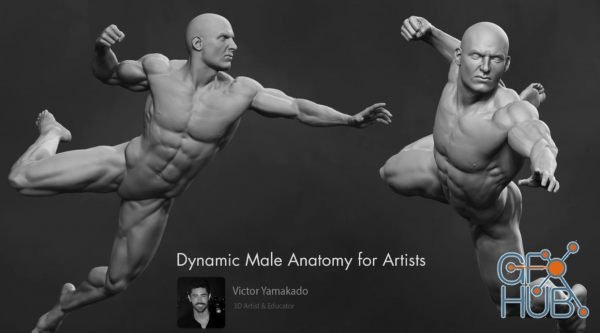 Skillshare – Dynamic Male Anatomy for Artists in Zbrush : Make Realistic 3D Human Model