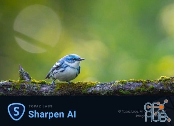 Topaz Sharpen AI 3.1.0 Win x64