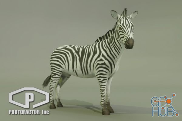 Unity Asset – ZEBRA