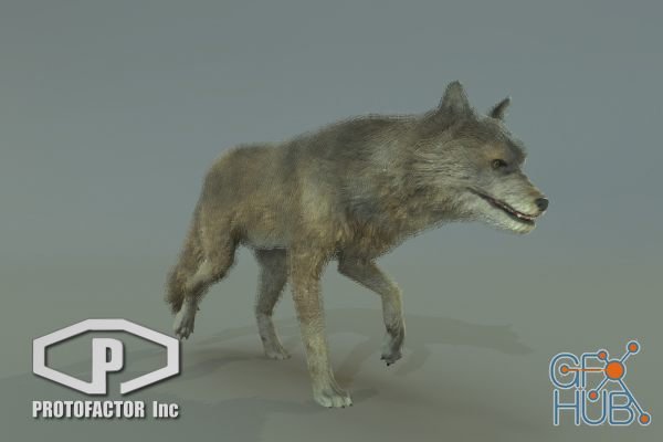 Unity Asset – WOLF