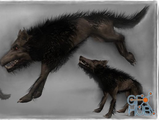 Unity Asset – Beast Wolf