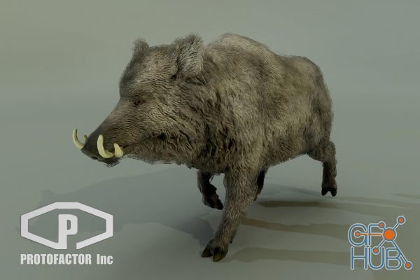 Unity Asset – BOAR