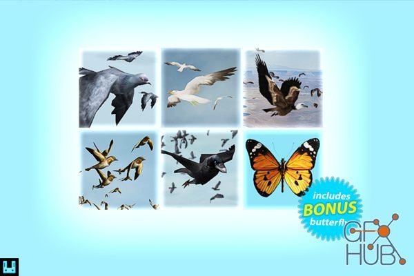 Unity Asset – Bird Flock Bundle