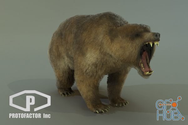 Unity Asset – BEAR