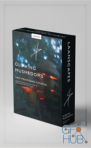 Laanscapes – The Magic Mushroom / Glowing Mushrooms Processing (by Daniel Laan)