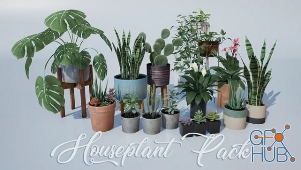 Unreal Engine Marketplace – Houseplant Pack – Interior and Exterior Plants