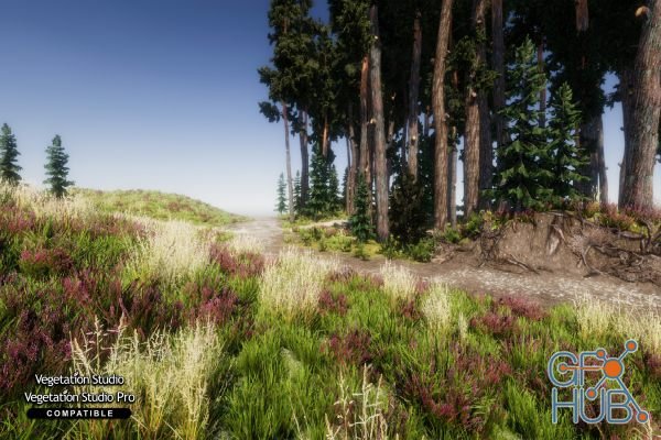 Unity Asset – Advanced Foliage Pack 2