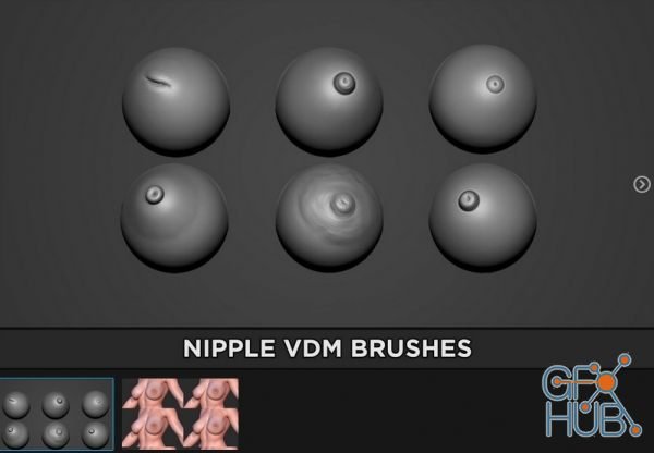 ArtStation Marketplace – ZBrush Perfect Nipple Brush
