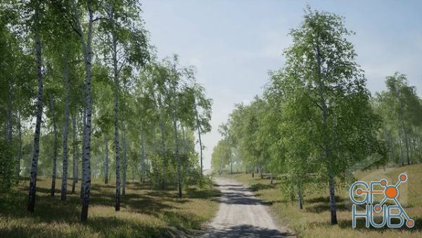 Unreal Engine Marketplace – Trees: Birch Tree