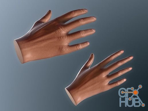 Unity Asset – Hands for VR: Basic