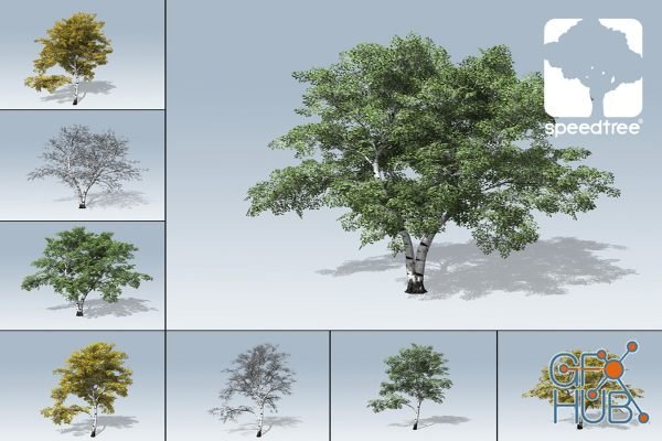 Unity Asset – European White Birch Package