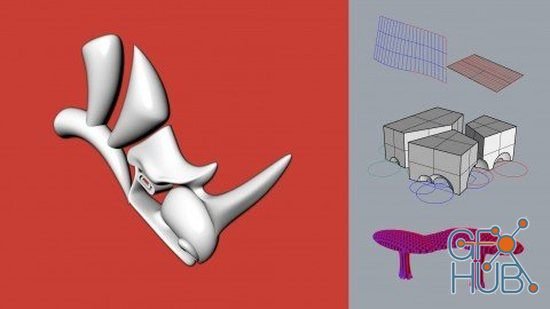Udemy – Model complex 3D architectural geometry with Rhinoceros