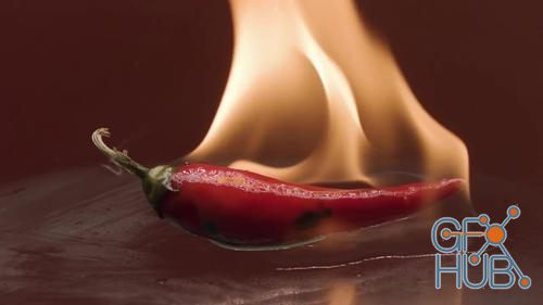 MotionArray – Red Hot Chili Pepper In Fire Flame 1011950