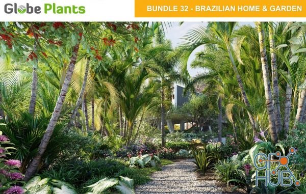 Globe Plants – Bundle 32 – Brazilian Home & Garden Plants (3D-Models)