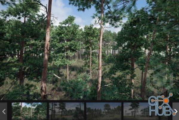 Unreal Engine Marketplace – Trees: Pine Tree