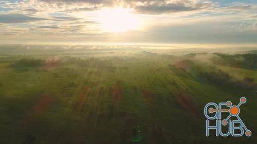 MotionArray – Aerial Of Green Meadow 833657