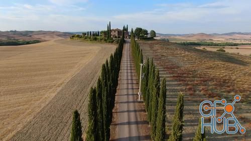 MotionArray – Road Lined With Cypress Trees, Tuscany 1009743