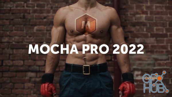 Boris FX Mocha Pro 2022 v9.0.1 Build 49 Standalone / Adobe / OFX Win x64