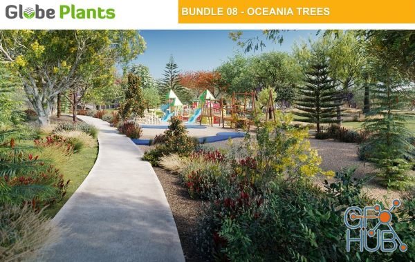 Globe Plants – Bundle 08 – Oceania Trees (3D Model)