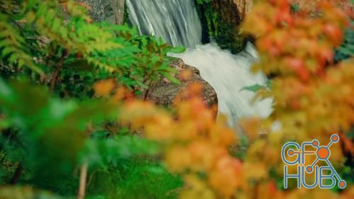 MotionArray – Waterfall In Beautiful Autumn Garden 93209