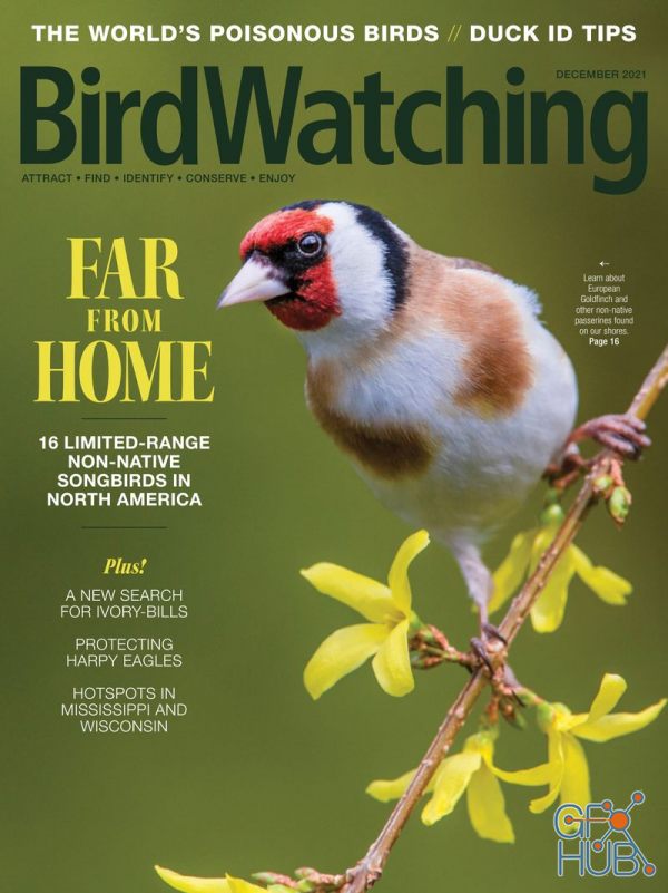 BirdWatching USA – December 2021 (True PDF)