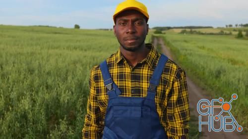 MotionArray – Farmer In Field Portrait 1027637