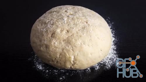 MotionArray – Dough Rising 1029949