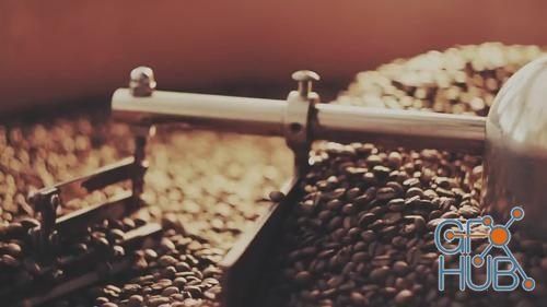 MotionArray – Coffee Beans In Roaster 1012683