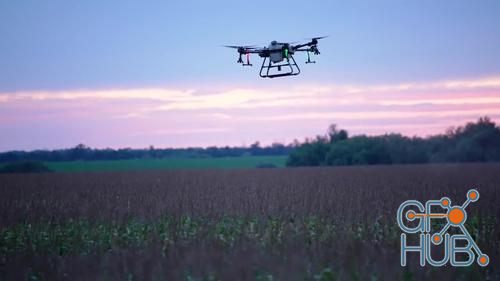 MotionArray – An Agricultural Drone Above The Crops 1033432