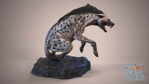 Hyena - Dynamic Animal Sculpting by Krystal Sae Eua