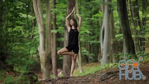 MotionArray – Womam Doing Yoga At Forest 1034684