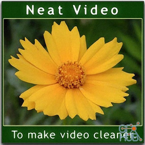 neat video noise reduction