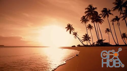 MotionArray – Tropical Beach Sunset 669590