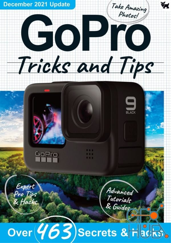 Go Pro Tricks And Tips – 8th Edition, 2021 (PDF)