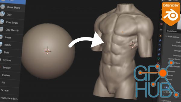 Blender: Sculpt a male torso for beginners