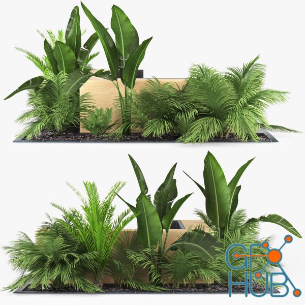 3D Model – Flowerbed palm | GFX-HUB