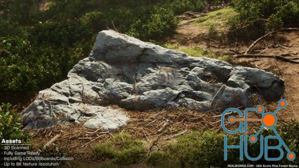Unreal Engine Marketplace – Scots Pine Forest Biome