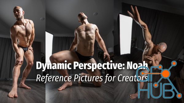Reference Pictures - Dynamic Perspective: Noah
