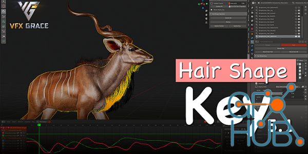 Blender Addon | Hair Shape Key  | Vfx Grace | GFX-HUB